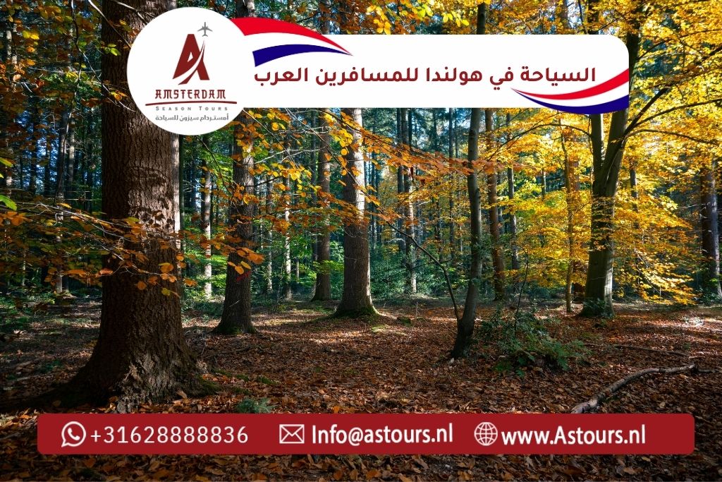 السياحة في هولندا للمسافرين العرب
