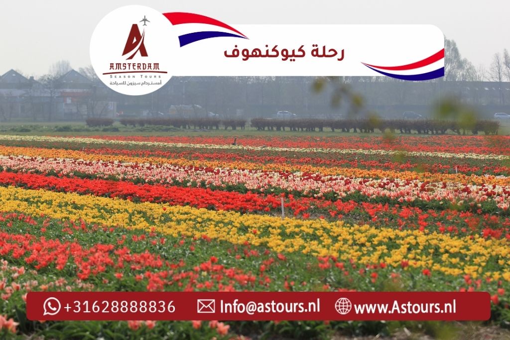 رحلة كيوكنهوف