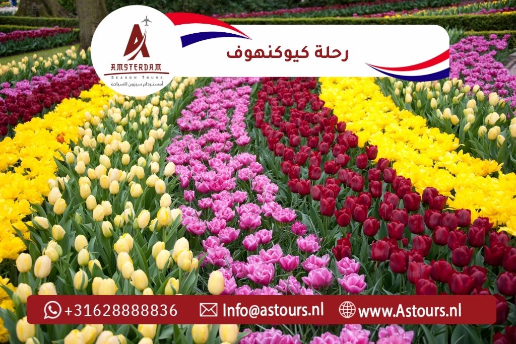 رحلة كيوكنهوف