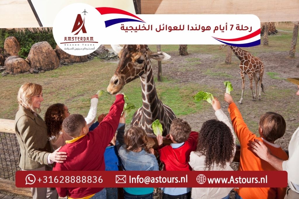 رحلة 7 أيام هولندا للعوائل الخليجية مع سائق عربي (1)
