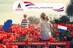 أهم 10 أنشطة في هولندا للعرب: دليل سياحي شامل 2026