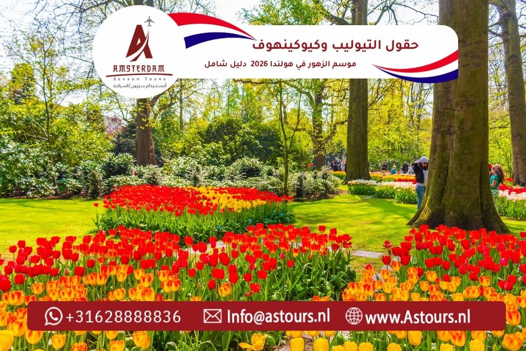 موسم الزهور في هولندا 2026: دليل شامل لحقول التيوليب وكيوكينهوف